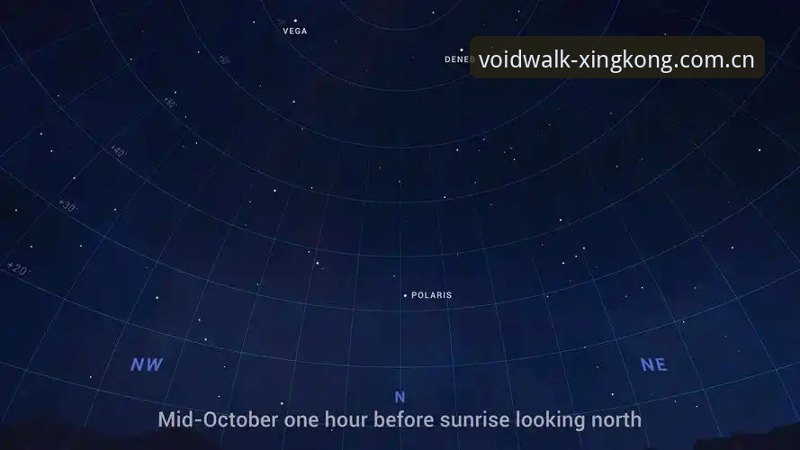 以星空Vega软件登录使用指南 揭秘以星空Vega软件登录:你的数据同步正在错失什么?